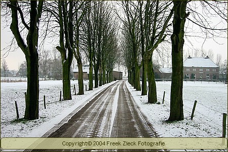 bleswinter01.jpg